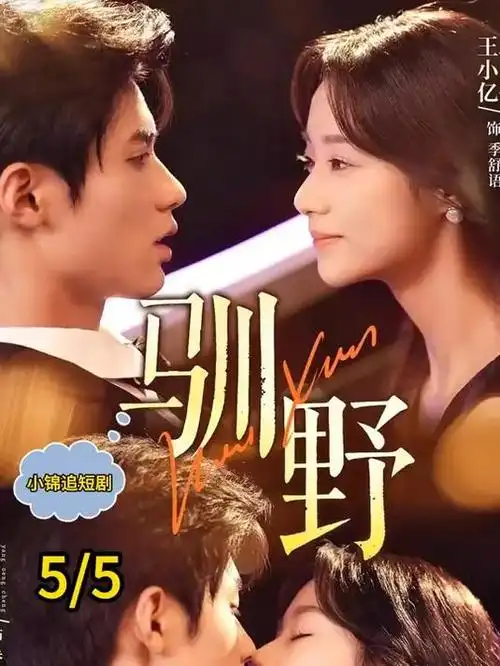 回南天档案悬疑剧全集在线观看